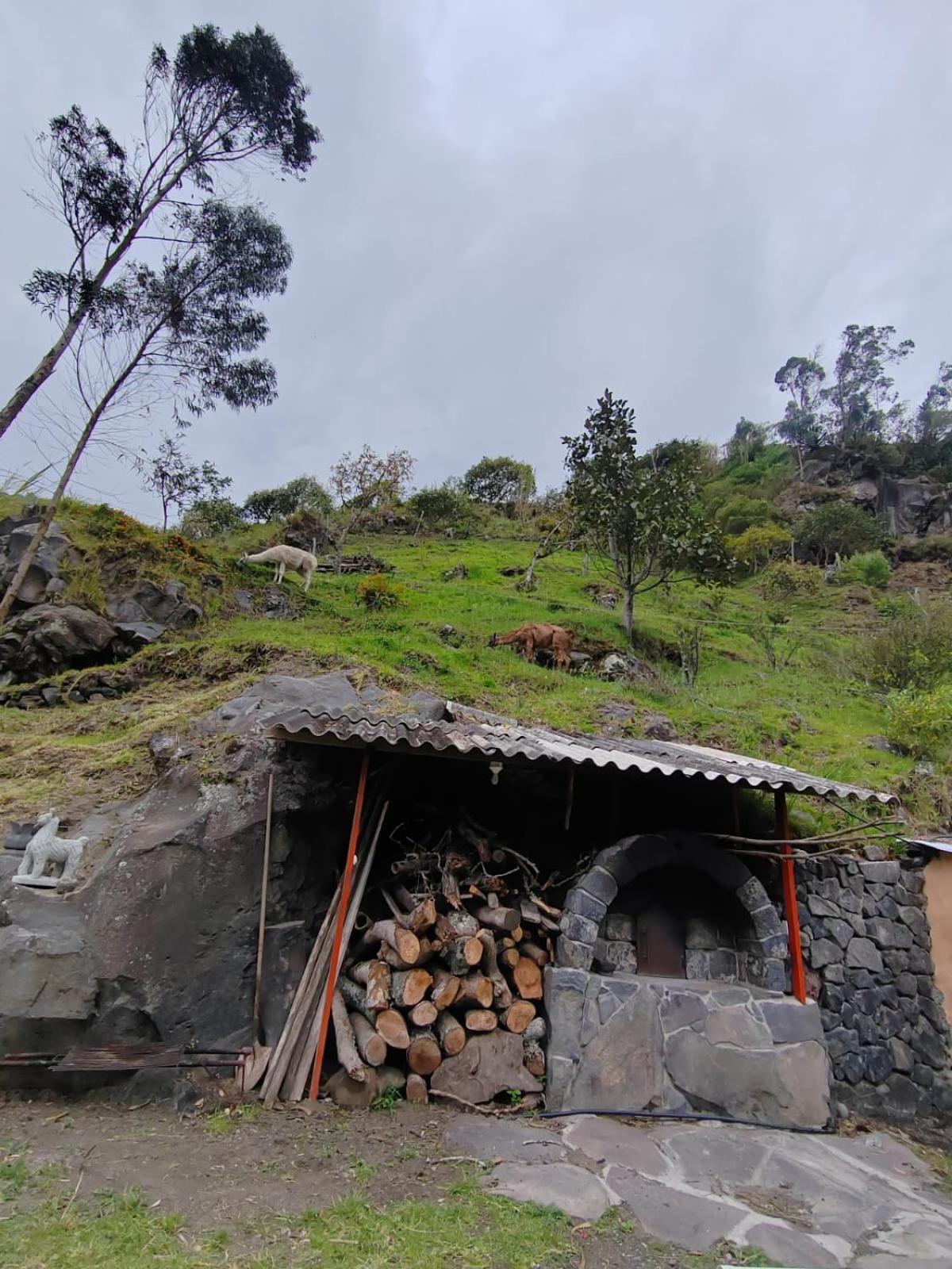 Agua Mary Homestay *