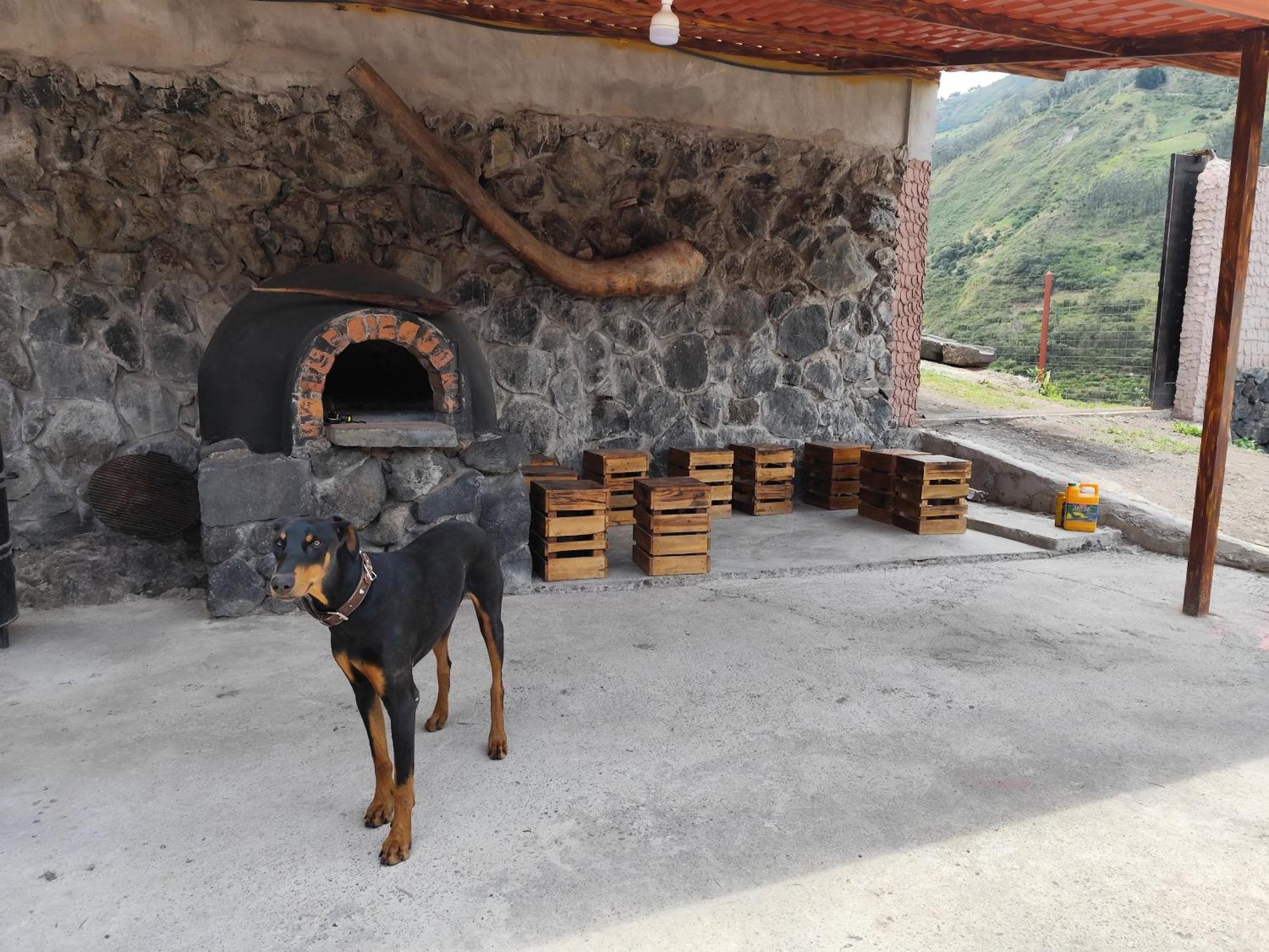 Homestay Agua Mary *